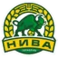 Nyva Ternopil logo
