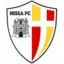 Nissa logo