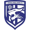 Wuhan Three Towns logo