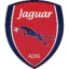 Jaguar U20 logo