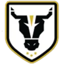 Bulls Academy U20 logo