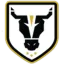 Bulls Academy logo
