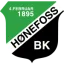 Hønefoss logo