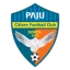 Paju Citizen logo