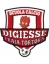 Digiesse PraiaTortora logo