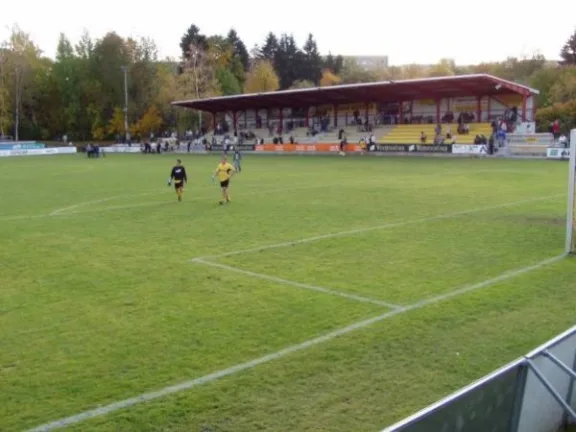 Arena zur Vogtlandweide stadium
