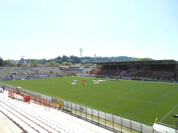 Stadio Romeo Menti stadium